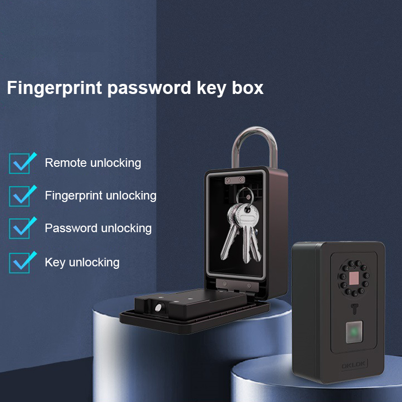 Intelligent hangslot Hangontwe - Home Security Box recensie en prijs